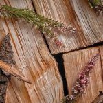 Woody Notes