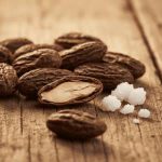 Tonka Bean