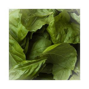 Basil