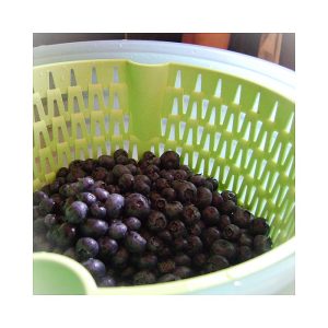 Blueberry