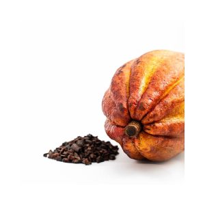 Cocoa