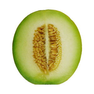 Melon