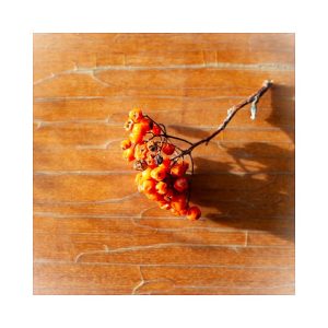 Pimento