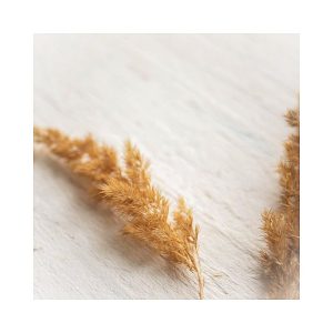 Suede