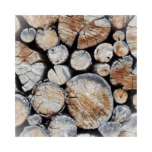 Woody Notes